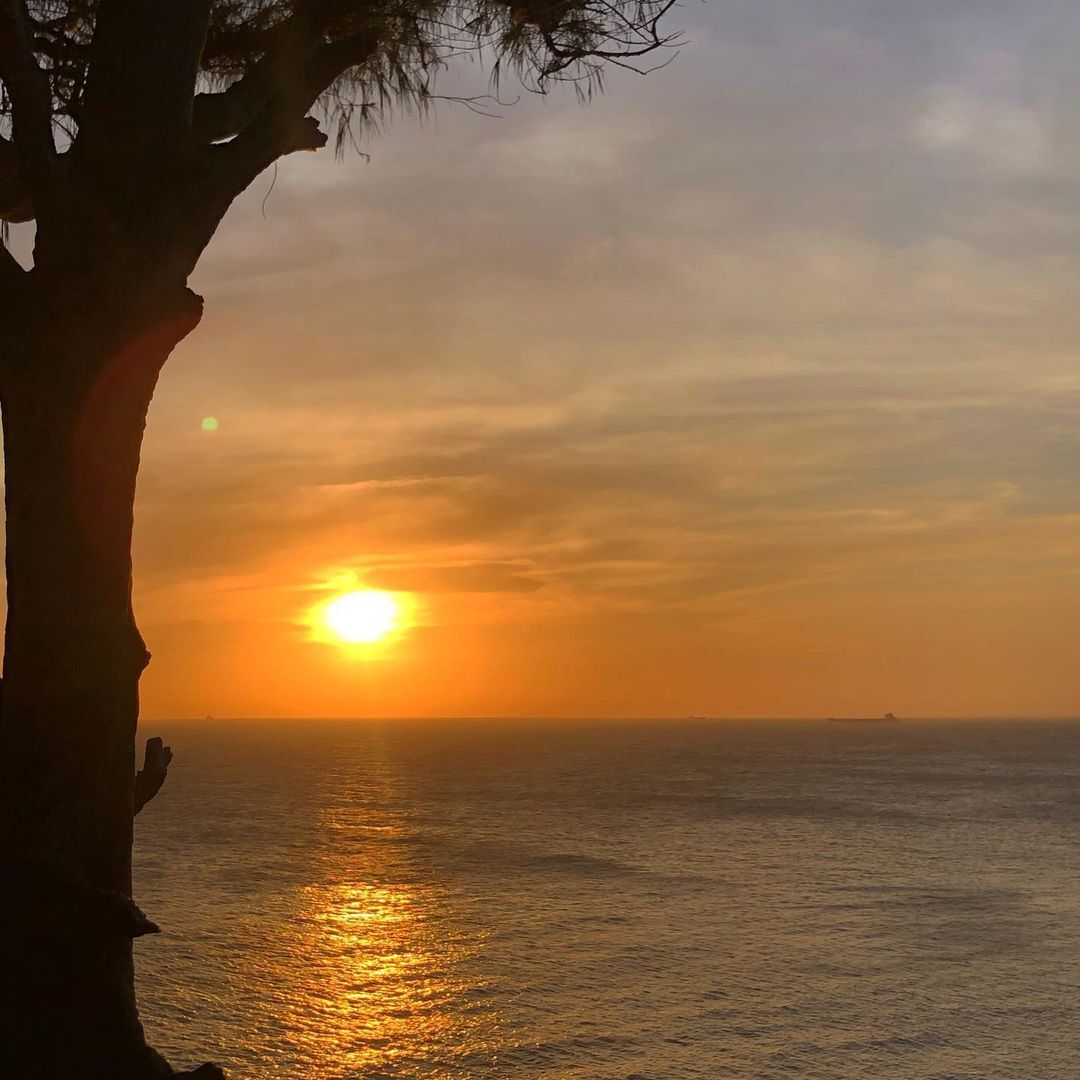 Learn Vung Tau’s heritage with expert insights